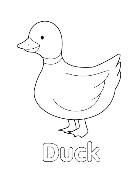 Duck Coloring Page - Little Bee Family