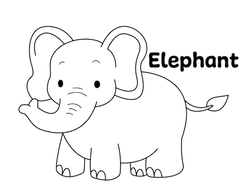 elephant colouring pages