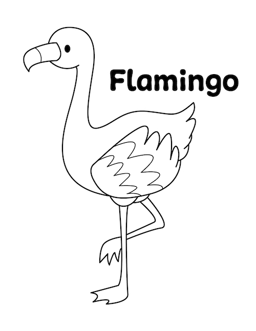 Zoo Animal - Flamingo Coloring Page