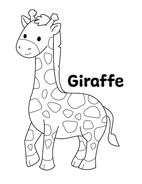 Zoo Animal Giraffe Coloring Page