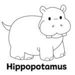 Zoo Animal - Hippo Coloring Page