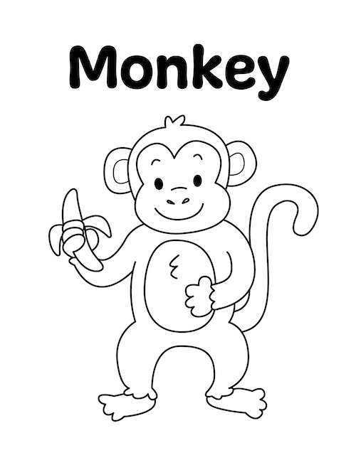 Zoo Animal - Monkey Coloring Page
