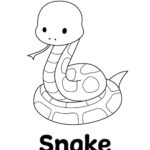 Zoo Animal Coloring Page - Snake