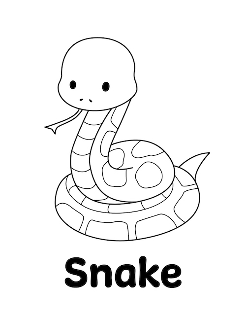 Zoo Animal Coloring Page - Snake