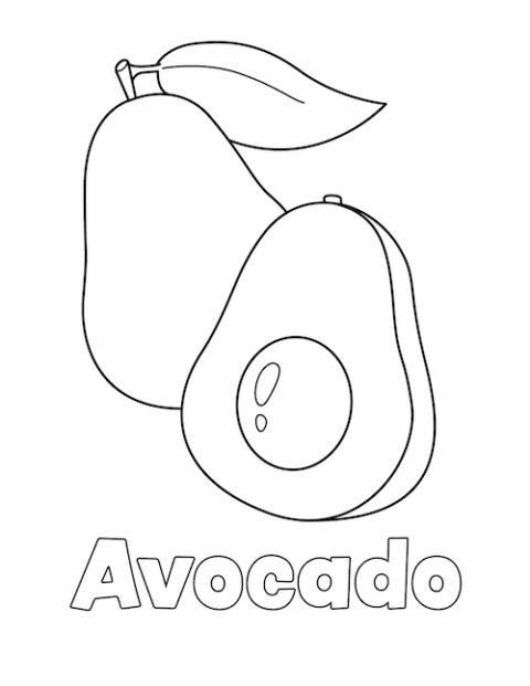 Avocado Coloring Page - Little Bee Family