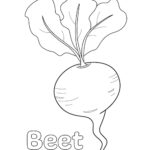 beet coloring page