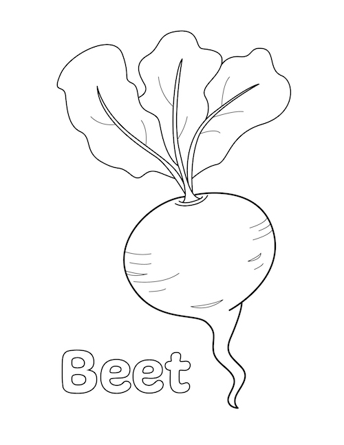 beet coloring page 