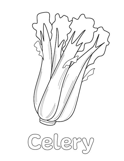 celery coloring page 