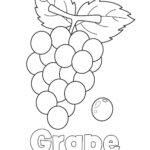 grape coloring page