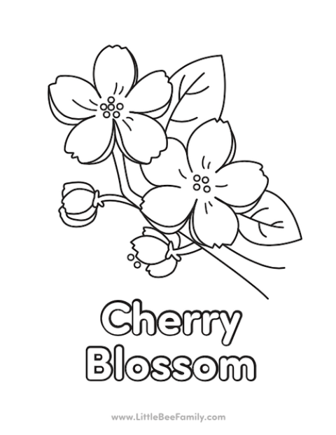Cherry Blossom Coloring Page - Little Bee Family