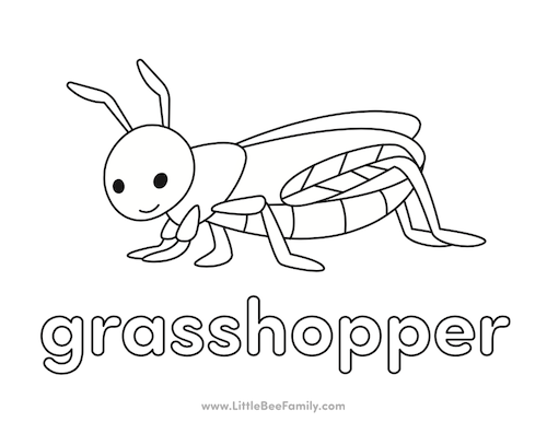 grasshopper coloring page