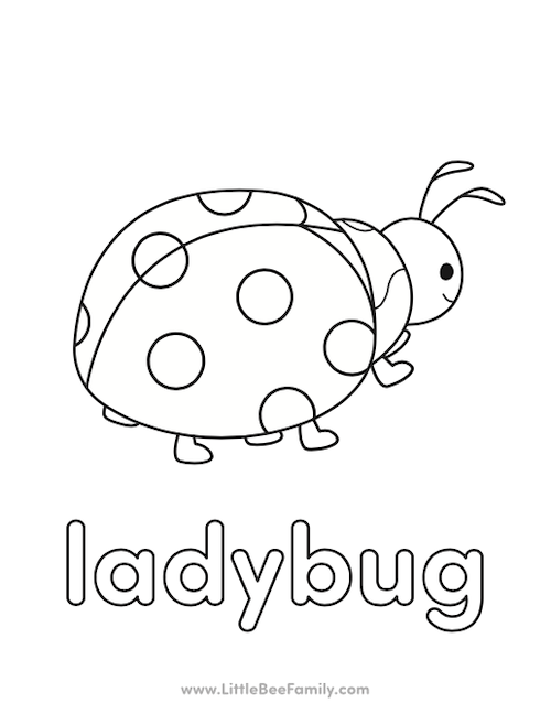 ladybug coloring page