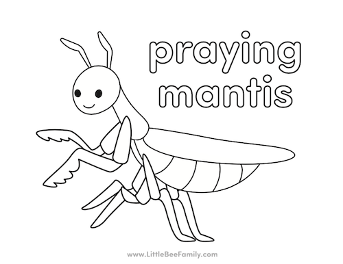 praying mantis coloring page